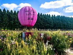 -嘉北郊野公园