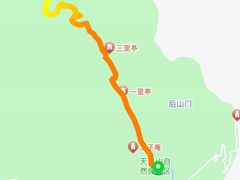 -天目山大树王景区