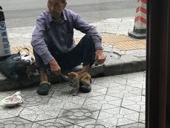 -常州糕团店(北大街新世纪商城店)
