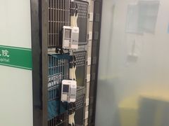 -半岛宠物医院24小时(科华中路店)