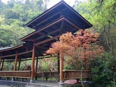 -姑婆山旅游区