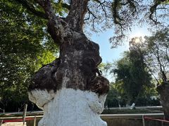 -桂林灵渠景区