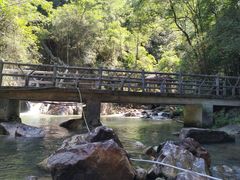 -九龙江国家森林公园