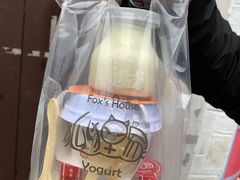-狐狸家·酸奶酪专门店(平江路店)