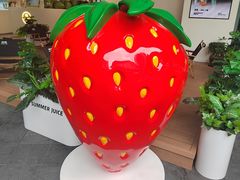 -树夏(金楠天街店)