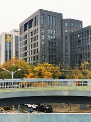 -中国黄金(北京旗舰店)