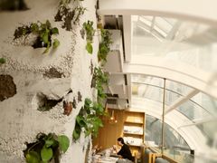 -农畉LONFOOD(福田星河COCOPark店)