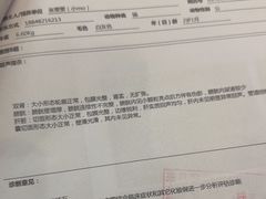 -半岛宠物医院24小时(科华中路店)