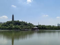 -顺峰山公园