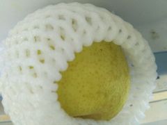 -上膳源有机农场