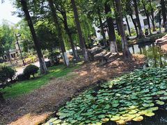 -湾里人家(旺山景区店)