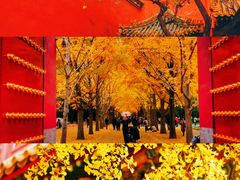 -沉浸北京·团建旅行·密室剧本杀·年会会议轰趴拓展