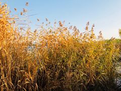 -永定河休闲森林公园