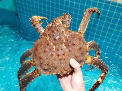 -狮伙海鲜捞(千灯湖店)