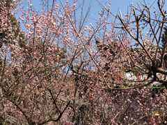 -黑龙潭公园
