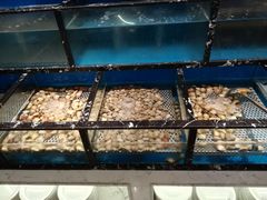 水产区-上海南郊宾馆·阳光自助餐厅