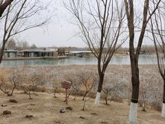 -大兴滨河森林公园