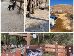 -萍乡武功山风景名胜区