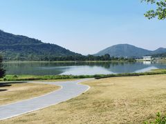 -风云岭森林公园