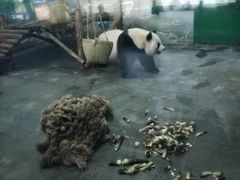 -无锡动物园·太湖欢乐园