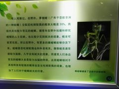 -上海昆虫博物馆