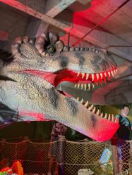 -恐龙探索乐园(磁器口店)
