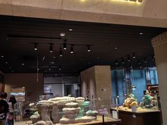 -帕帕拉兹宠物(亚洲旗舰店)