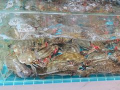 -蓝珊海鲜澳洲和牛自助餐厅