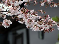 -南浦大桥长途旅游客运站