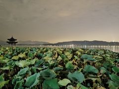 -湖畔居茶楼(湖滨店)