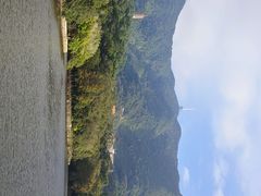 -深圳仙湖植物园