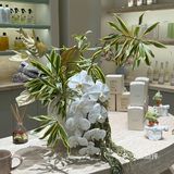 南京恰饭日常｜花的海洋｜优惠