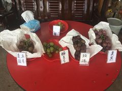 -马陆小张葡萄园农家乐