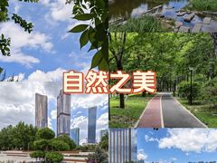 -大望京公园