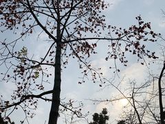 -晓港公园