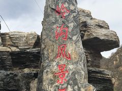 -大岭沟猕猴桃谷风景区