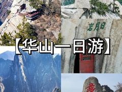 -秦始皇帝陵博物院(兵马俑)