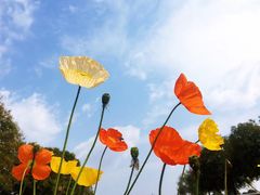 -四川农业大学(雅安校区)