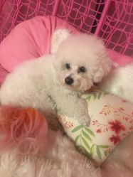 -Pink You美甲美睫纹绣定制中心