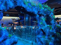 -陕西自然博物馆