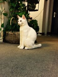 -尚美日式美甲美睫工作室