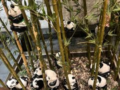 -汤森悠生活文化汤(江宁万达店)