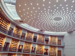 -浙江越秀外国语学院