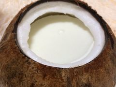 吃货椰子冻-志龙皇冠吃货椰子铺