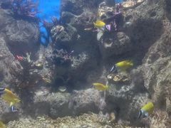 -福州罗源湾海洋世界旅游区