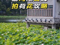 -荔湾湖公园