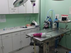 -中农国际动物医院24小时·猫科·骨科·急重症中心