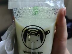 -楼上猫咖(罗湖店)