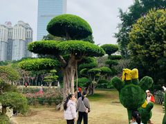 -南宁南湖公园