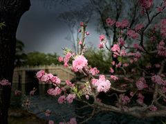-颐和园